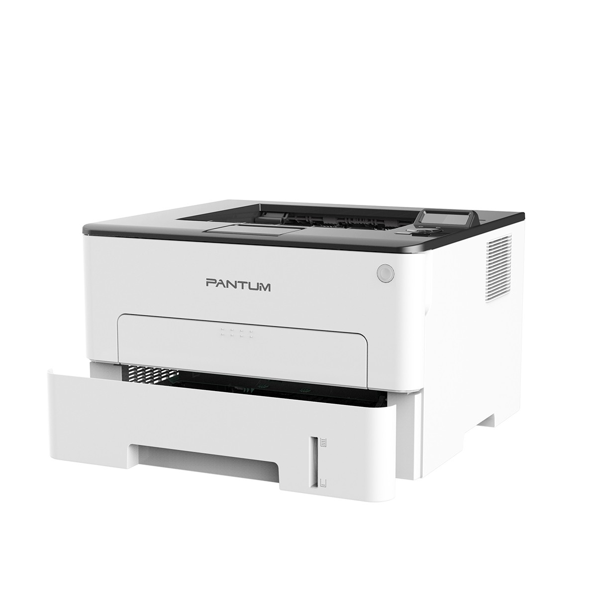 P3010DW Mono laser single function printer